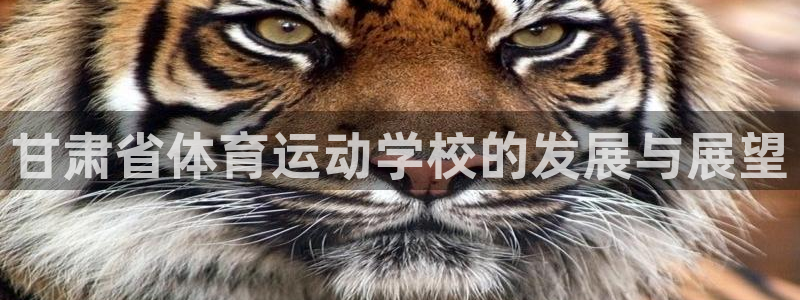 菲律宾ug环球官网