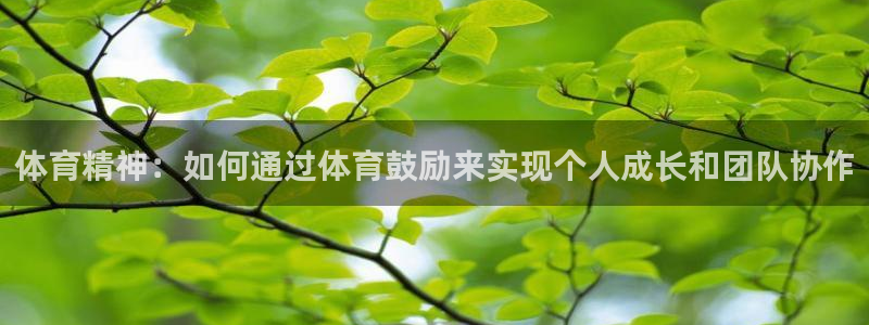 ug环球官网注册